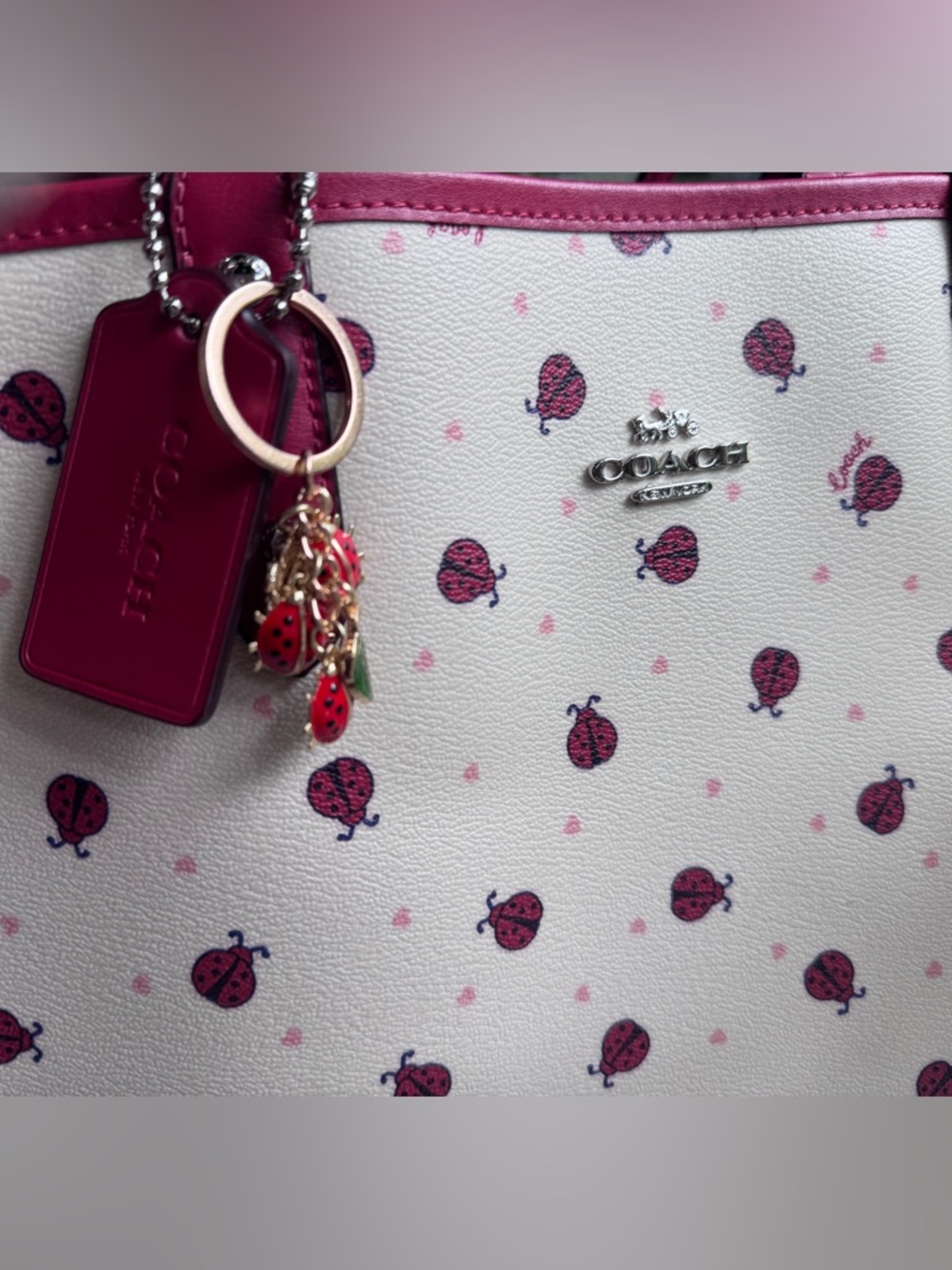 Coach Ladybug 🐞 Tote - Picture 3 of 7